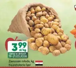 Avita Ziemniaki młode oferta