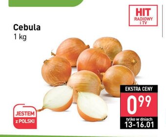 Stokrotka Cebula 1kg oferta