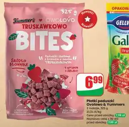 Dino Płatki poduszki Owolovo & Yummers oferta