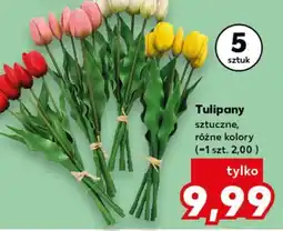 Kaufland Tulipany oferta