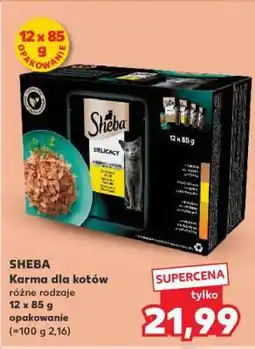 Kaufland Sheba oferta