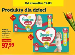 Lidl Pantsy Active Baby 5 lub 6 oferta