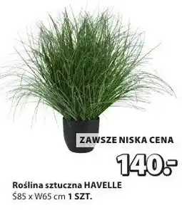 JYSK Roślina sztuczna Havelle oferta