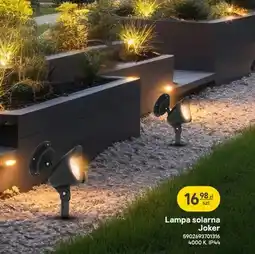 Castorama Lampa solarna Joker oferta