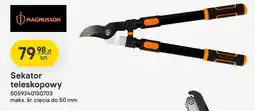 Castorama Sekator teleskopowy oferta
