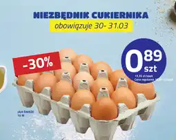 Hildebrandt Jaja świeże oferta