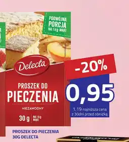 Hildebrandt Delecta Proszek do pieczenia oferta
