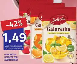 Hildebrandt Delecta Galaretka oferta