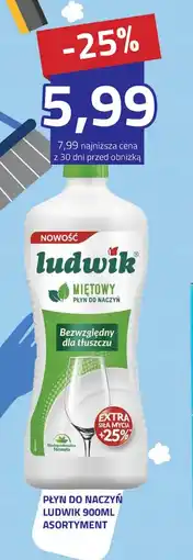 Hildebrandt Ludwik płyn do naczyń oferta