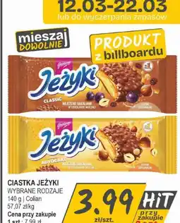 Słoneczko Goplana Jeżyki oferta
