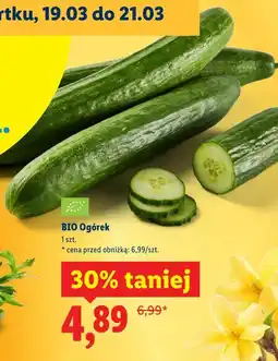 Lidl BIO Ogórek oferta
