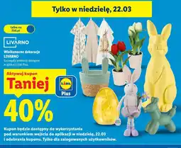 Lidl Wielkanocne dekoracje LIVARNO oferta