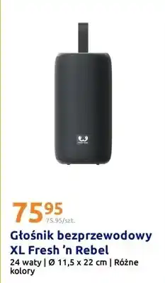 Action Głośnik bezprzewodowy XL oferta