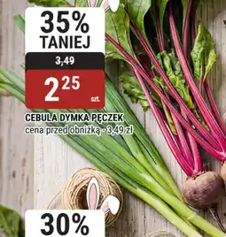 bi1 Cebula dymka pęczek oferta