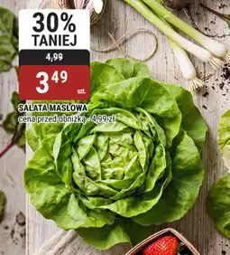 bi1 Sałata masłowa oferta
