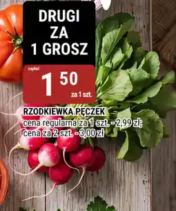 bi1 Rzodkiewka pęczek oferta