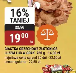 bi1 Ciastka Orzechowe Złotokłos oferta