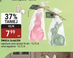 bi1 Swieca Zajączek oferta
