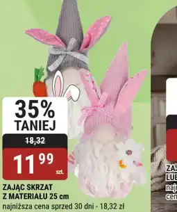 bi1 Zając Skrzat oferta