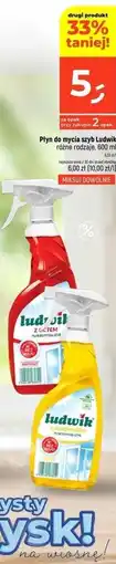 Dealz Płyn do mycia szyb Ludwik oferta