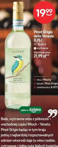 Żabka Pinot Grigio delle Venezie oferta