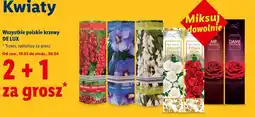 Lidl Wszystkie polskie krzewy DE LUX oferta