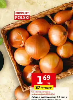 Auchan Cebula kalibrowana 60 mm + oferta
