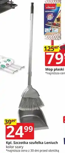 Prymus-AGD Szczotka szufelka Leniuch oferta