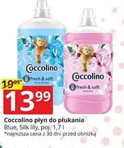 Prymus-AGD Coccolino płyn do płukania oferta