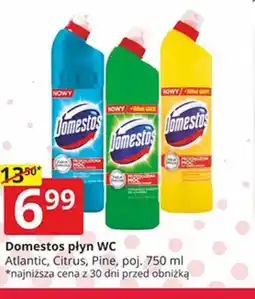 Prymus-AGD Domestos płyn WC oferta