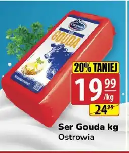 API MARKET Ser Gouda Ostrowia oferta