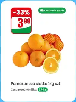 Dino Pomarańcza siatka oferta