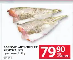 Selgros Dorsz BOX oferta