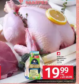 Selgros Kurczak Zagrodowy oferta
