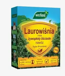 Castorama Nawóz do laurowiśni oferta