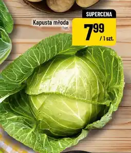 Polomarket Kapusta młoda oferta