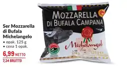 Makro Ser Michelangelo oferta