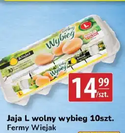API MARKET Jaja L wolny wybieg oferta