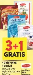 Intermarche Galaretka / Budyń WODZISŁAW oferta