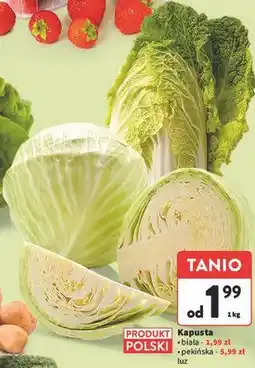 Intermarche Kapusta oferta