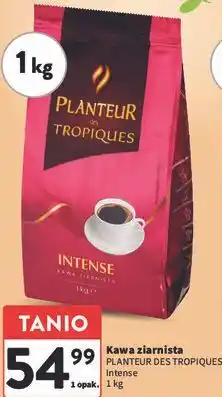 Intermarche Kawa ziarnista PLANTEUR DES TROPIQUES Intense oferta