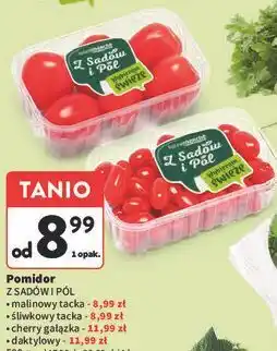 Intermarche Pomidor (malinowy tacka, ŗliwkowy tacka, cherry gałązka, daktylowy) oferta