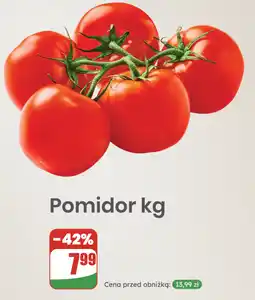 Dino Pomidor kg oferta