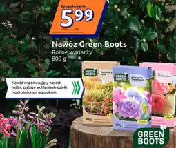 Action Nawóz Green Boots oferta