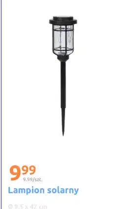 Action Lampion oferta