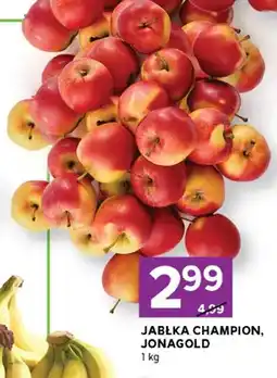 Stokrotka Jabłka Champion, Jonagold oferta