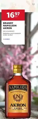 Stokrotka Brandy oferta