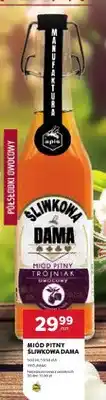 Stokrotka Miód pitny Śliwkowa Dama oferta