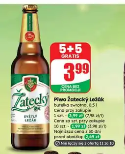 Dino Piwo Zatecky oferta