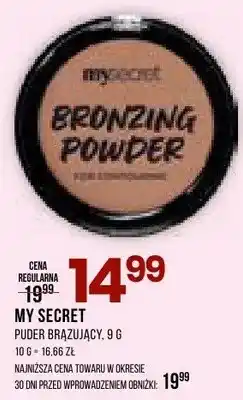 Drogerie Natura Puder brązujący oferta